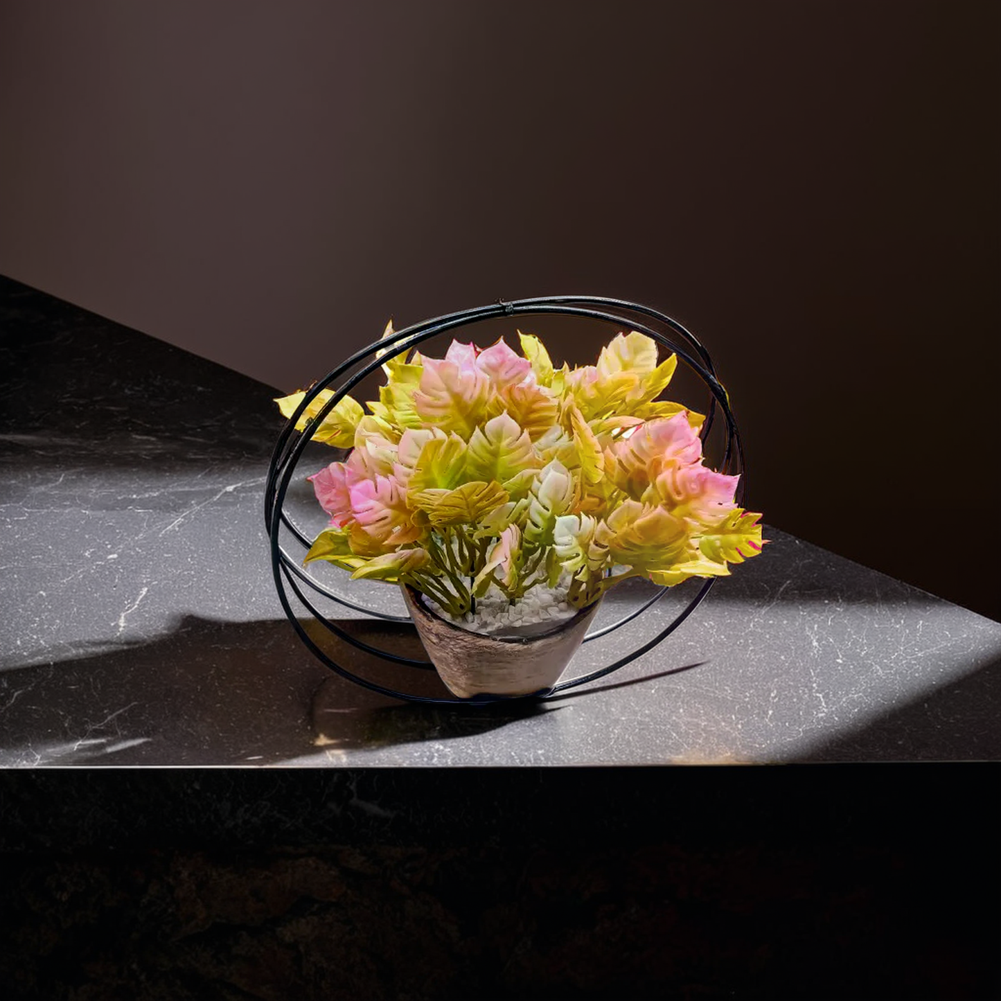 Potted plant with pink and yellow leaves